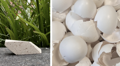 egg1